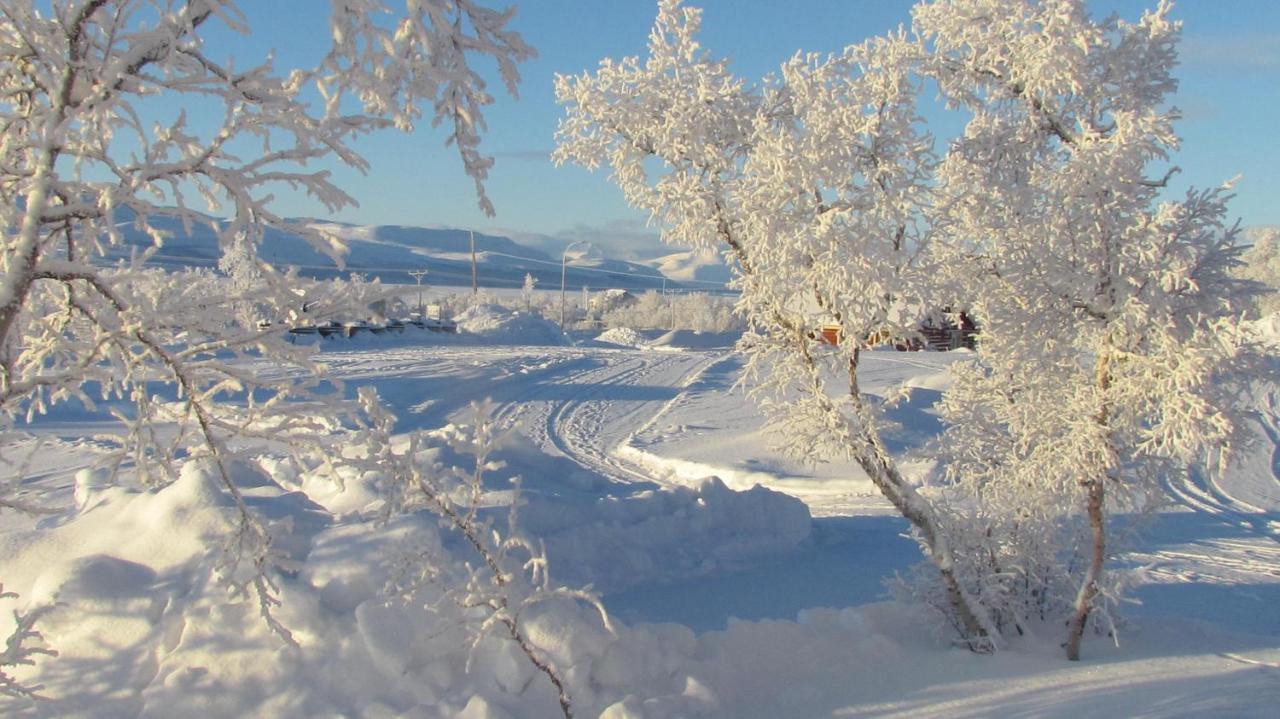 Guesthouse Haltinmaa Kilpisjärvi Buitenkant foto